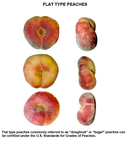 Donut Peaches- Official USDA Visual Aid