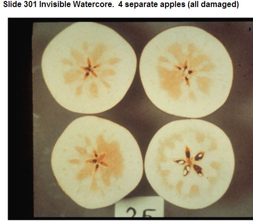 Watercore-USDA