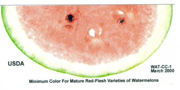Red Color | International Produce