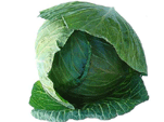 cabbage