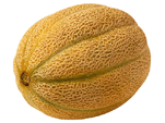 cantaloups