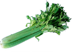 celery