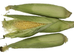 corn