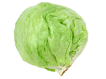 lettuce