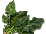 spinach leaves