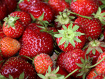 strawberries