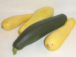 squash