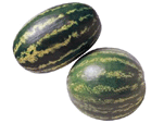 watermelons